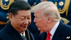 美国总统川普与中国国家主席习近平在北京人民大会堂举行的欢迎仪式上交谈。（2017年11月9日）