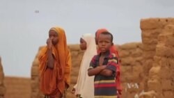 የኬንያ ከፍተኛ ፍ/ቤት የስደተኞች መጠለያ እንዳይዘጋ በማገዱ ተደነቀ