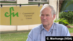 Ben Gilpin says wheat is a capital intensive and President Emmerson Mnangagwa’s government must ensure that it is priced correctly to address Zimbabwe’s bread shortages and affordability.