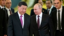 VOA专访: “民主力量终将使独裁垮台”：专访人权活动家霍洛维茨