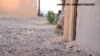 Experimental Virtual and Mixed Reality Technologies Can be Applied to Military of the Future