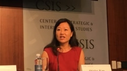 前美国国会研究处亚太安全事务研究员简淑贤2019年4月9日参加《台湾关系法》40年座谈会 （美国之音锺辰芳拍摄）