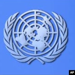 联合国标志