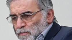 موحسن فەخریزادە