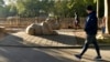 What Are the Good Effects of Walking?