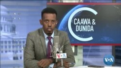 Caawa iyo Dunida
