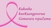 Kuongororwa gomarara repazamu kumonzi kwakakosha zvikuru kune vanhurume neva