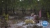 American NGO Unearths Mines in Vietnam to Make Farming Possible