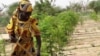 IRC says women in post-conflict West Africa often face violence at the hands of their partners and spouses (File)
