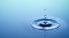 Solar-Powered Proteins Filter Antibiotics from Water