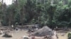 Le marécage de Ndjock, site qui accueille plus de 2.000 chercheurs d'or par jour, au Cameroun, le 21 janvier 2018. (VOA/Emmanuel Jules Ntap)