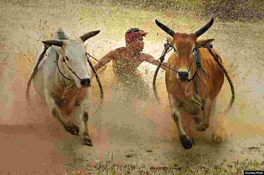 Peringkat ketiga diraih oleh Dadan Ramdani dari Indonesia dengan foto berjudul "Bull Race", tentang Pacu Jawi atau olahraga tradisional balap lembu di Sumatra Barat.
