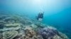 In this undated photo provided by the Great Barrier Reef Marine Park Authority, a diver monitors the health of the Great Barrier Reef off the Australian coast.