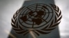 United Nations 