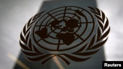 United Nations 