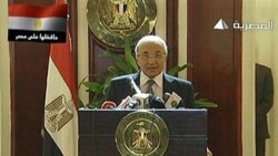 احمد شفیق - نخست وزیر مصر
