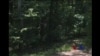 16x9 Image