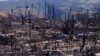 Бројот на загинати во Мауи се искачи на 106 – меѓу нив и деца