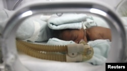 In genetic diseases for which treatments exist, rapid diagnosis is critical for neonatal interventions