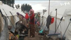 ፈነወ ድምጺ ኣመሪካ ቋንቋ ትግርኛ 29 ሰነ 2023
