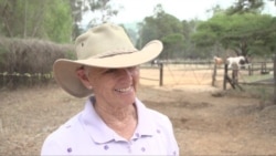 Trish Lillie of the Healing with Horses Therapeutic Centre in Harare says her organization is helping kids who cannot afford the recommended speech and physical therapies. Nov. 21, 2019. (Columbus Mavhunga/VOA)