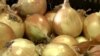NY Business Brings Produce From Farm to Boardroom