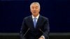 ARHIVA - Predsednik Crne Gore Milo Đukanović (Foto: Reuters/Vincent Kessler)