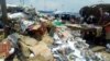 Harare litter