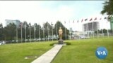 ከምሽቱ 3:00 የአማርኛ ዜና