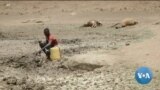 ከምሽቱ 3:00 የአማርኛ ዜና