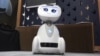 Meet Buddy, created by Blue Frog Robotics, a French-based company. Buddy can patrol a home and alert residents to an intruder or a fire.