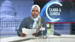 Caawa iyo Dunida