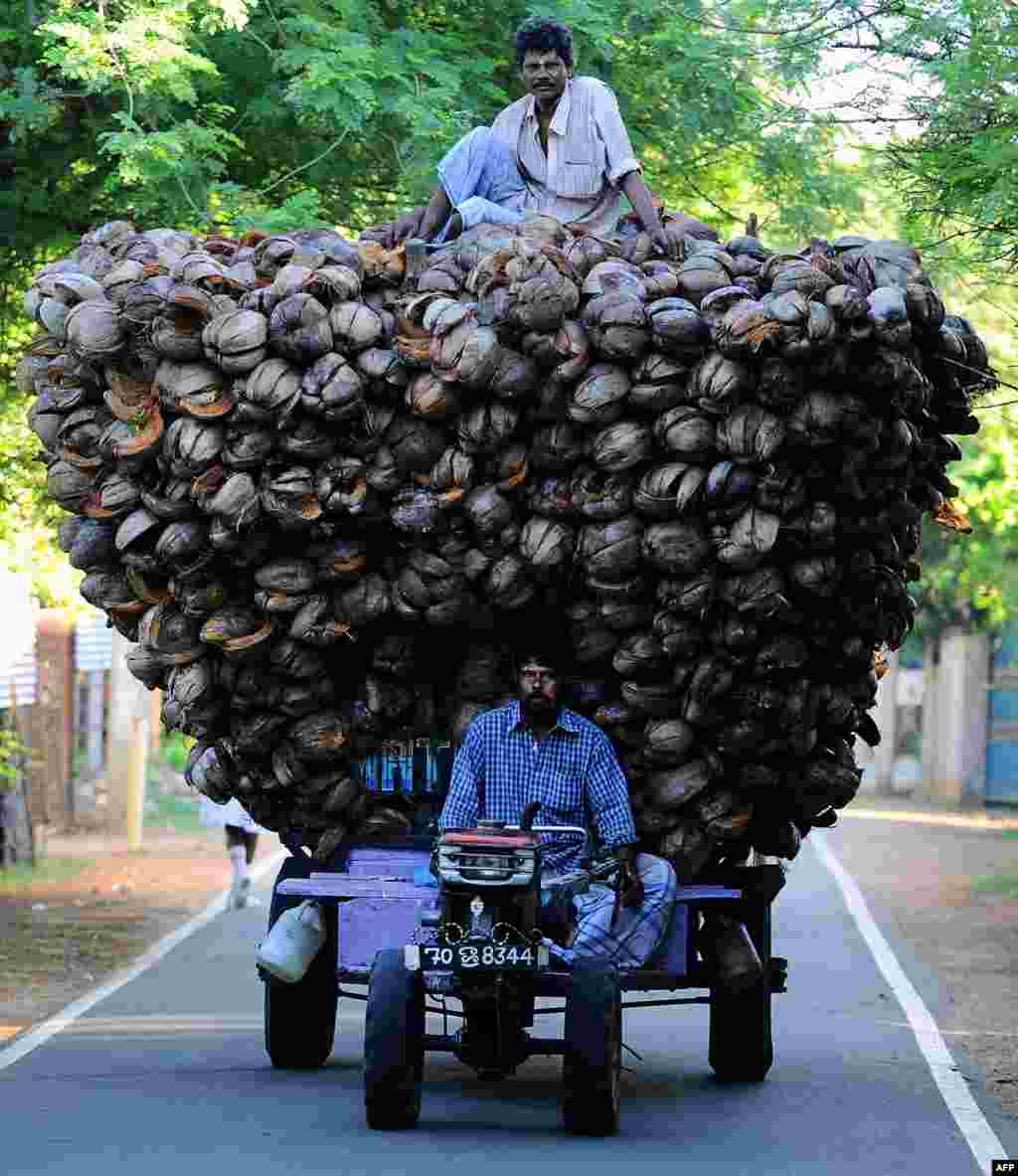 Petani etnis Tamil, Sri Lanka mengangkut sabut kelapa di kota Jaffna, sekitar 400 kilometer sebelah utara ibukota Kolombo.