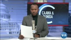 Caawa iyo Dunida