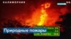 Пожары в Санта-Барбаре