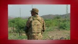 د ډیوه د روانو چارو خپرونه په ټي وي
