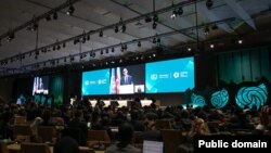 유엔 기후변화협약(UNFCCC) 제29차 당사국총회(COP29)가 오늘(11일) 아제르바이잔 수도 바쿠에서 개막했다.