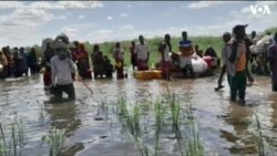 ፈነወ ድምጺ ኣመሪካ ቋንቋ ትግርኛ 11 ግንቦት 2023