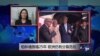 VOA连线：柏林墙倒塌25年，欧洲仍有分裂危险