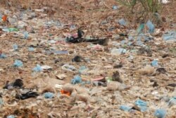 Conservationists say plastic waste is posing a heath threat to fish in Lake Malawi. (L. Masina/VOA)