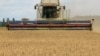 FOTO DE ARCHIVO: Una combinada cosecha trigo en un campo cerca del pueblo de Zghurivka, en medio del ataque de Rusia a Ucrania, en la región de Kyiv, Ucrania, el 9 de agosto de 2022. REUTERS/Viacheslav Musiienko 